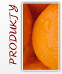 Produkty - Victon - owocowo warzywne dodatki do cukiernictwa i piekarnictwa.